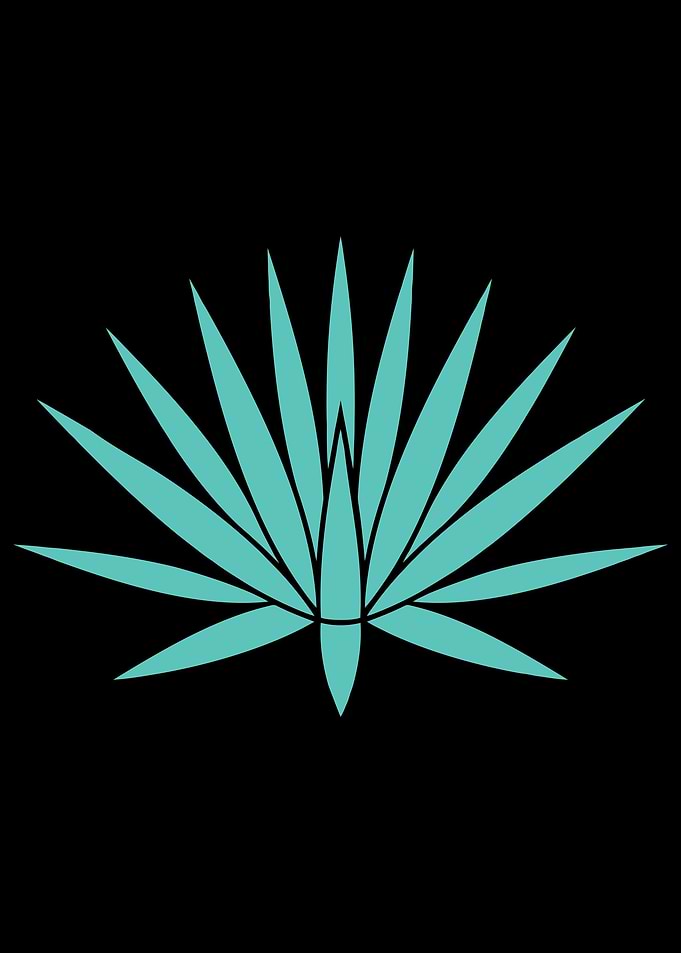 AGAVE