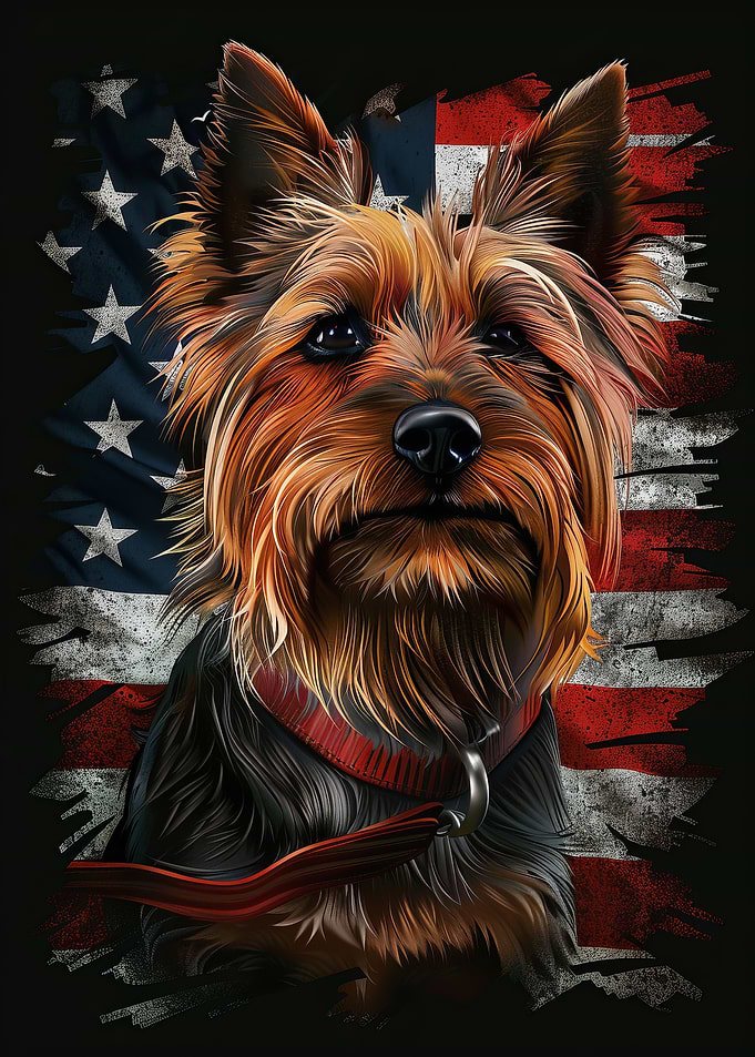 Australian Terrier Usa