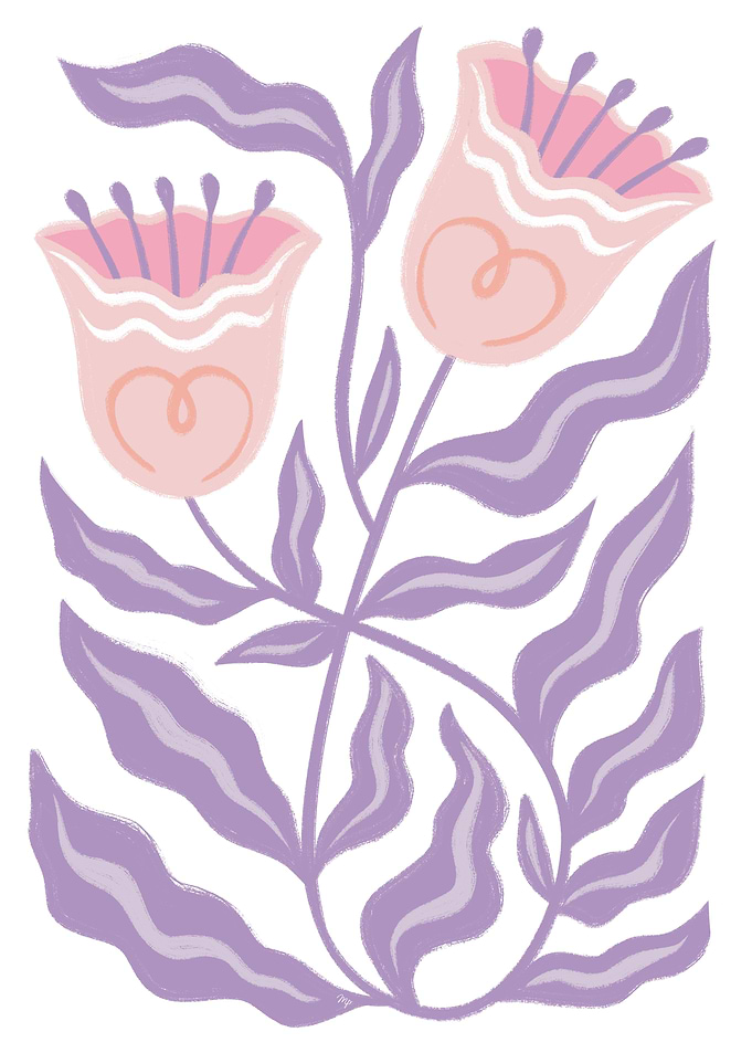 Romantic purple Tulips