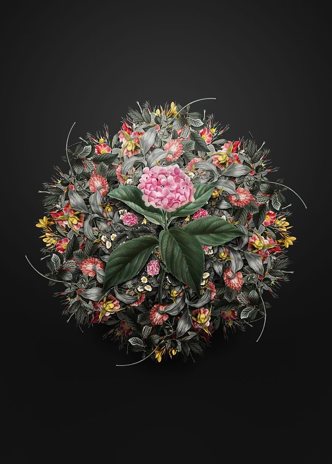 French Hydrangea Wreath