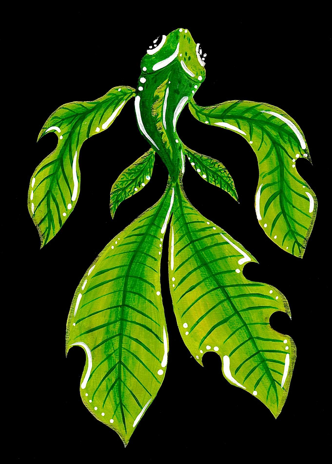 Carpe Feuille