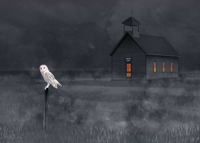 White lady Barn owl