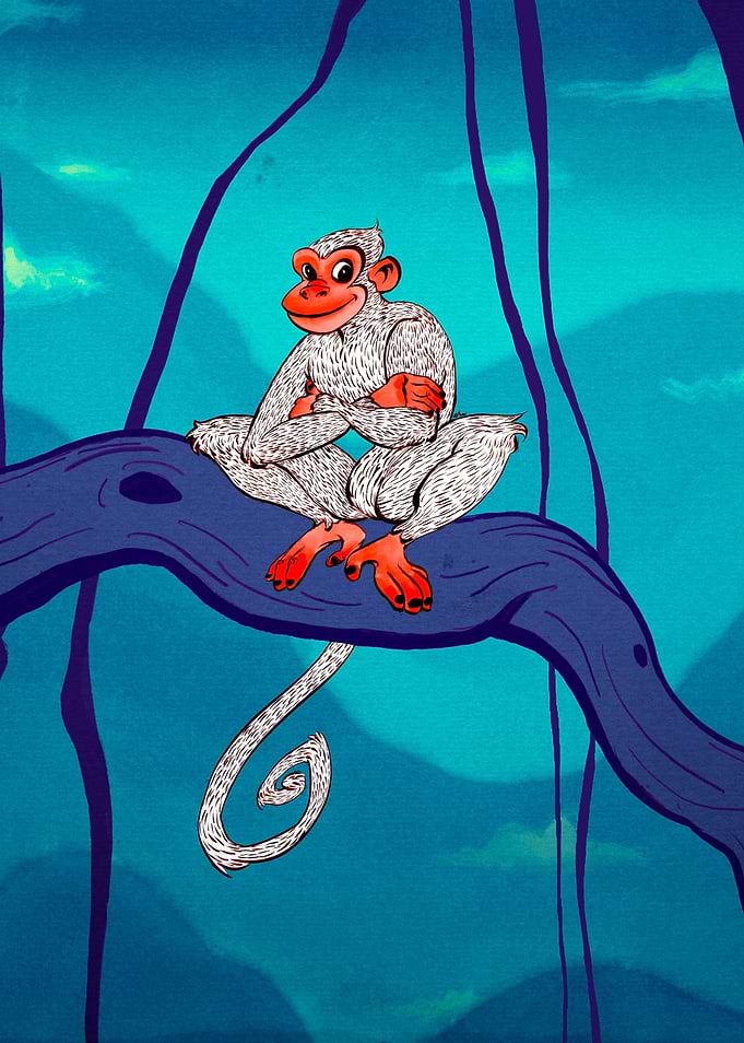 Monkey
