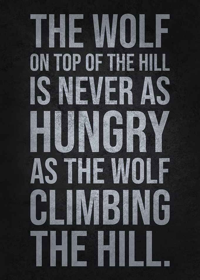 Wolf On Top Of The Hill