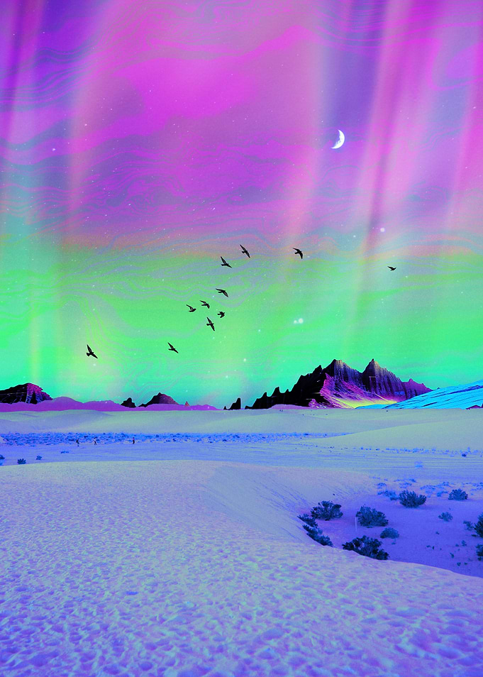 Icy Adventure