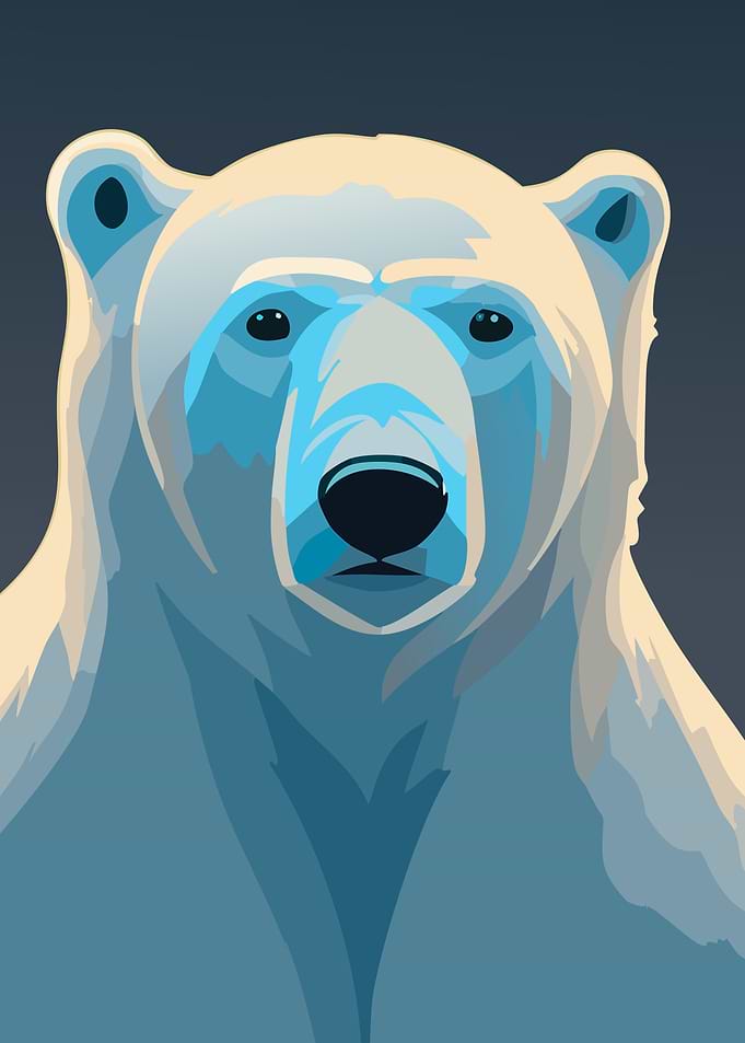 Polar Bear