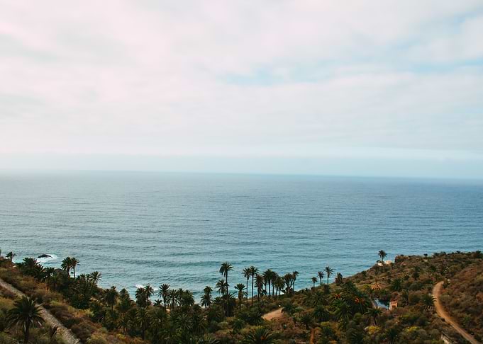 Palm Coast Horizon