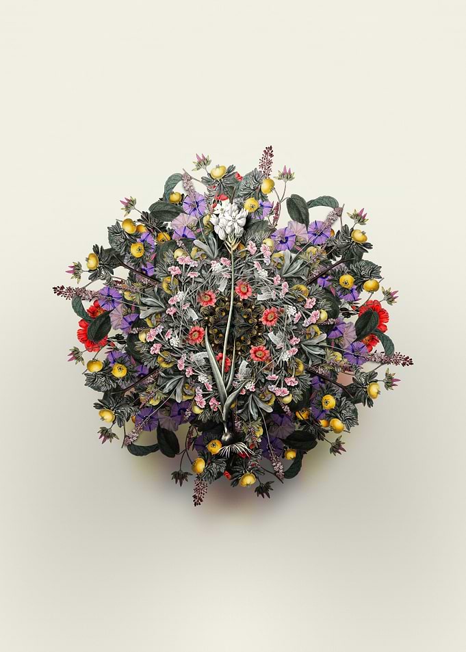 Chincherinchee Wreath