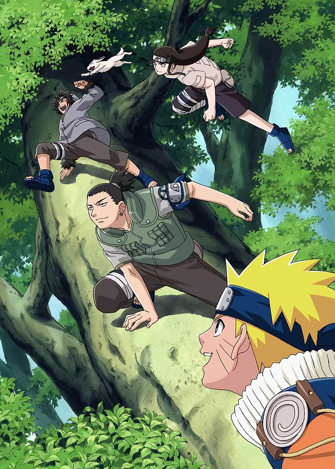 Naruto's Idols