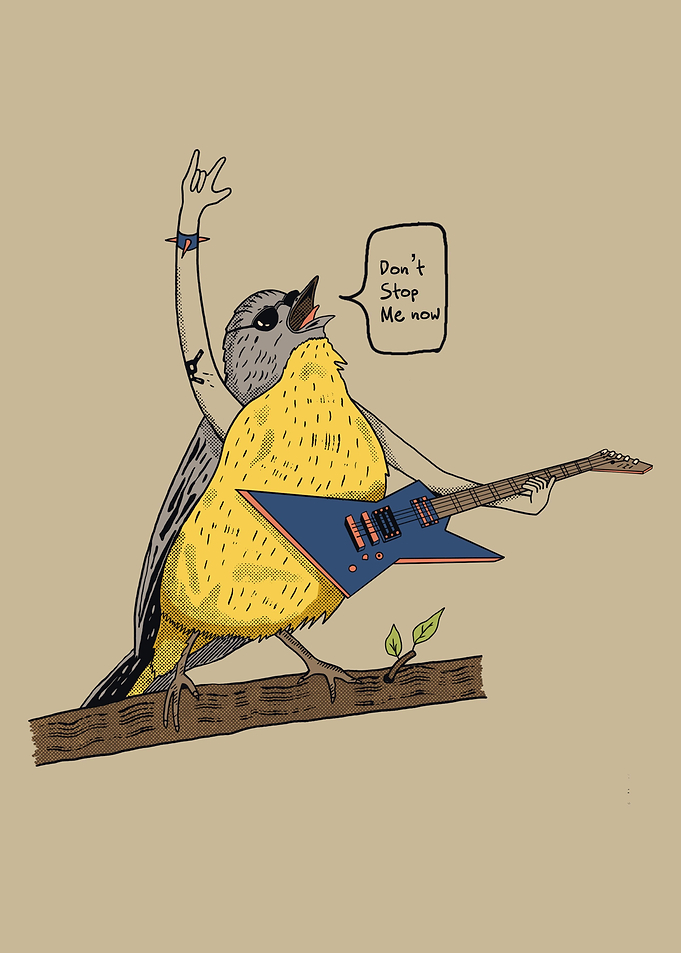 Rockin Bird