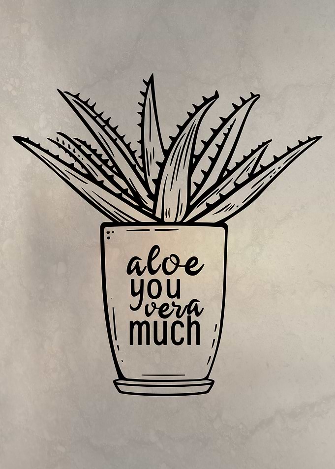 Aloe You Vera Much