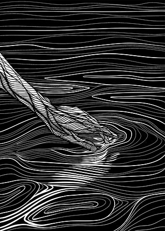 Touch