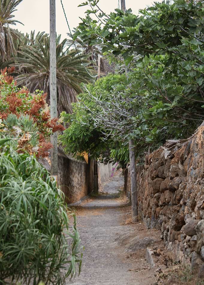 Hidden Garden Path