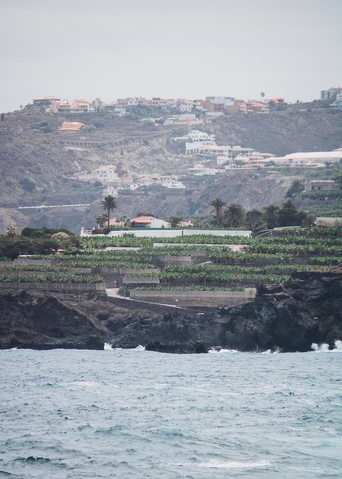 Coastal Hillside Vista