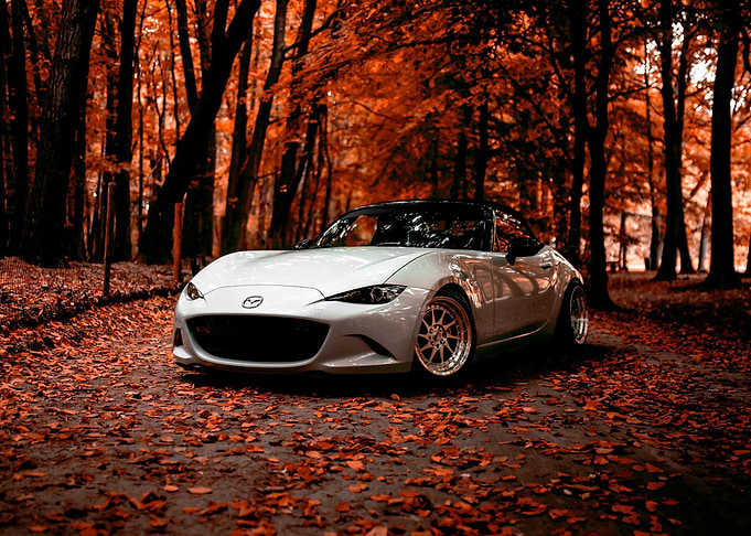 Mazda carros