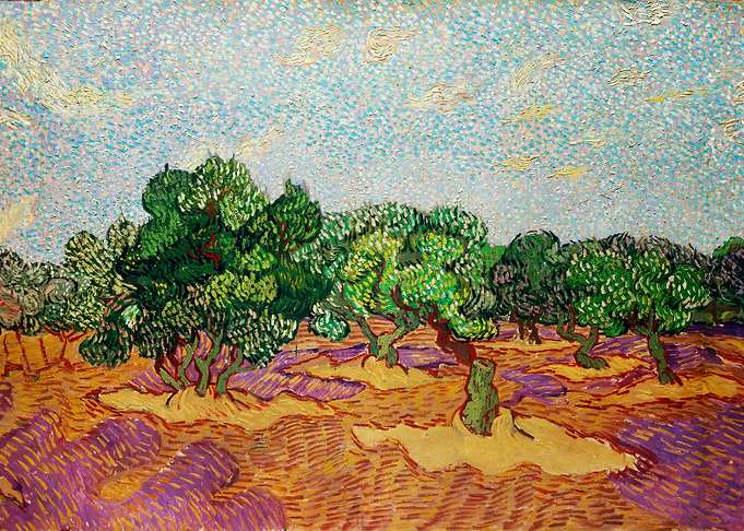 Olive Trees