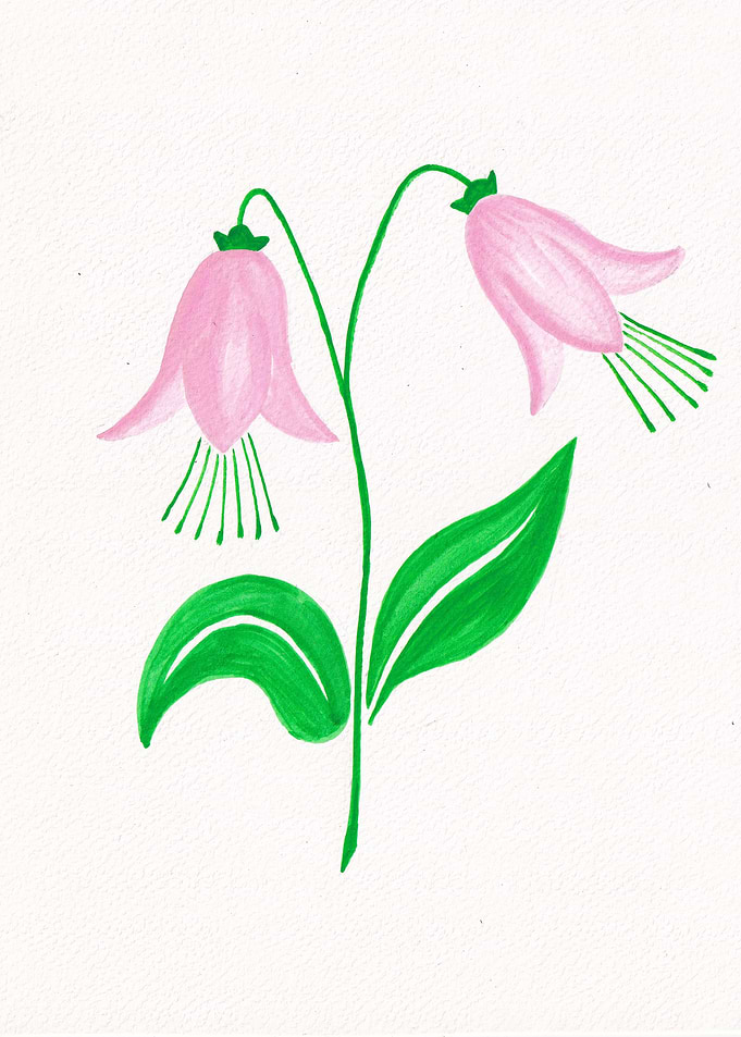 Pink flowers