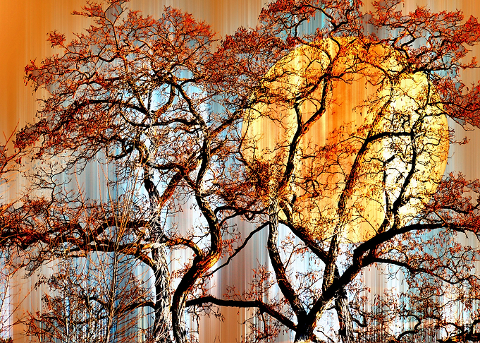 Autumn Colors