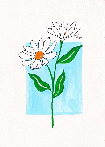 daisy flowers