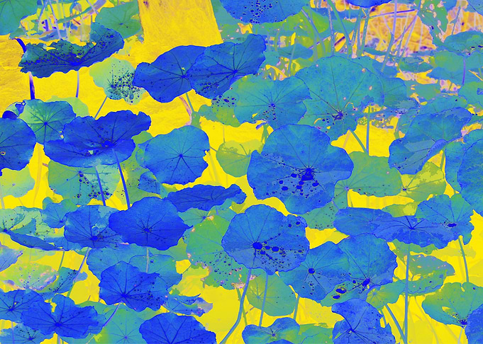 Blue on Gold