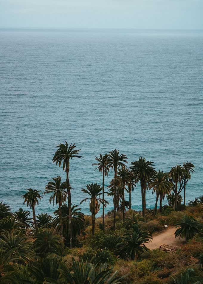 Tropical Coastal View