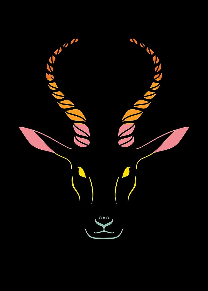 Antelope