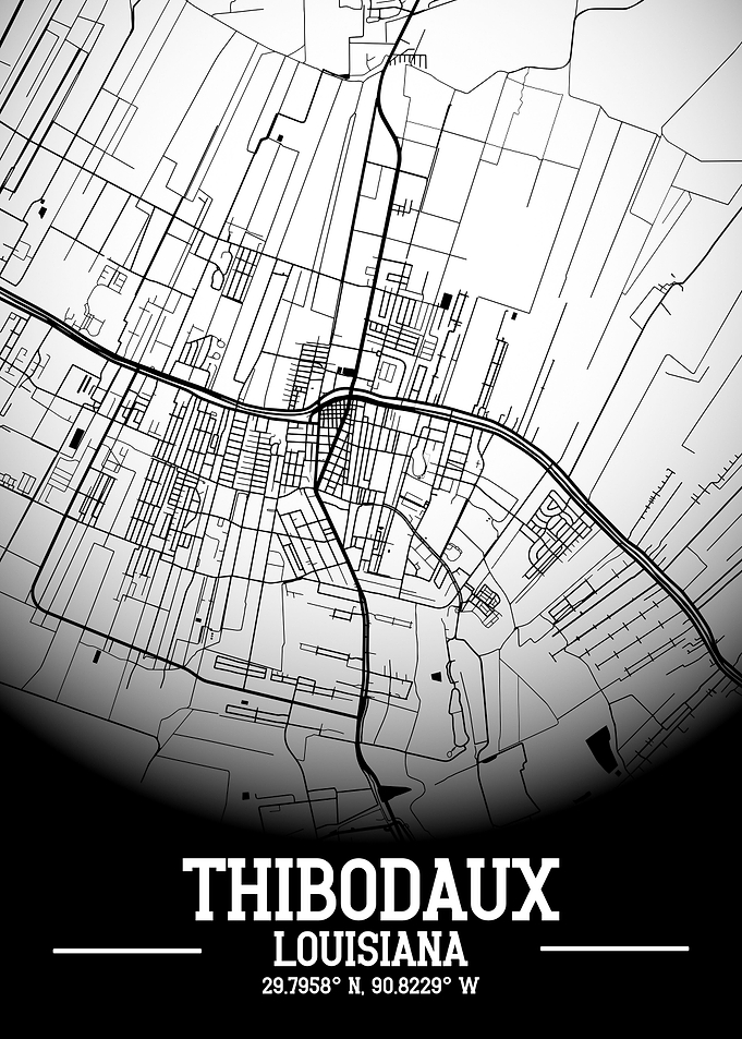 Thibodaux City Map White