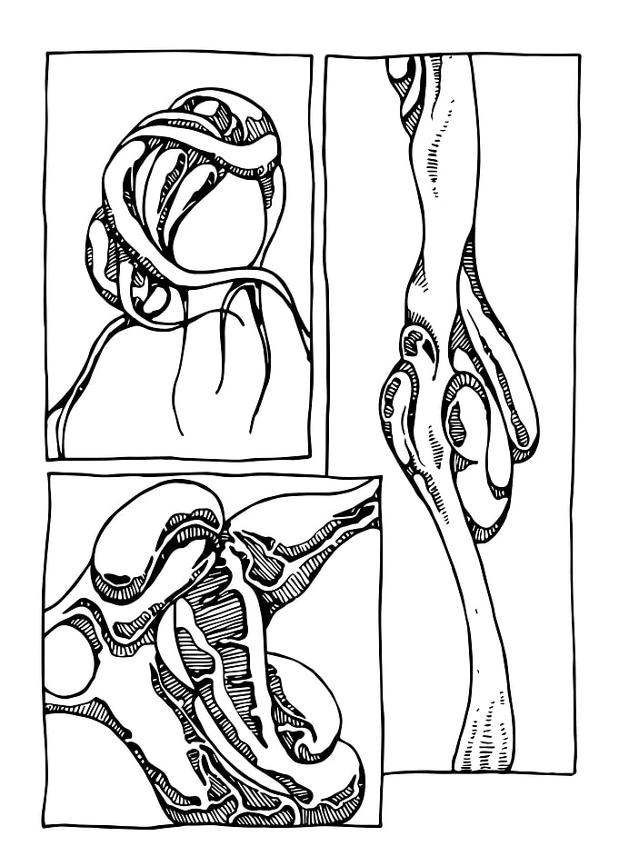 Eternal Tangles