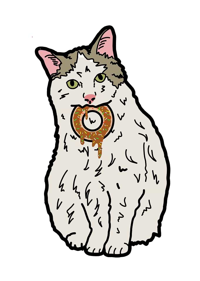 Cat eats