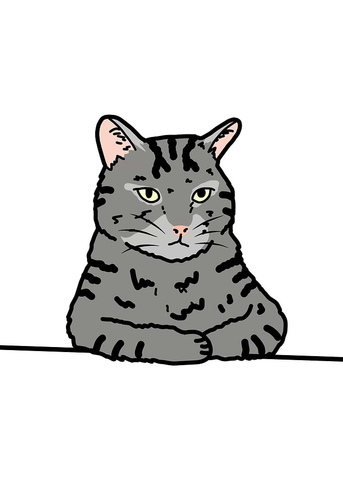 Silent cat
