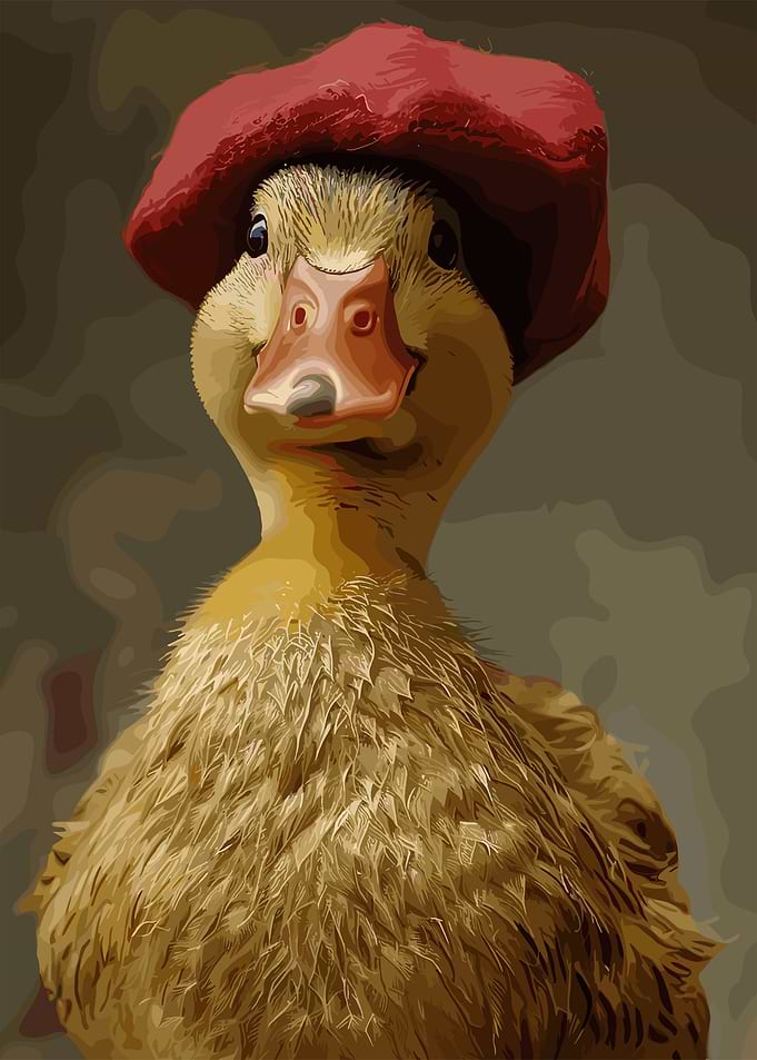 Little Duck And Red Hat