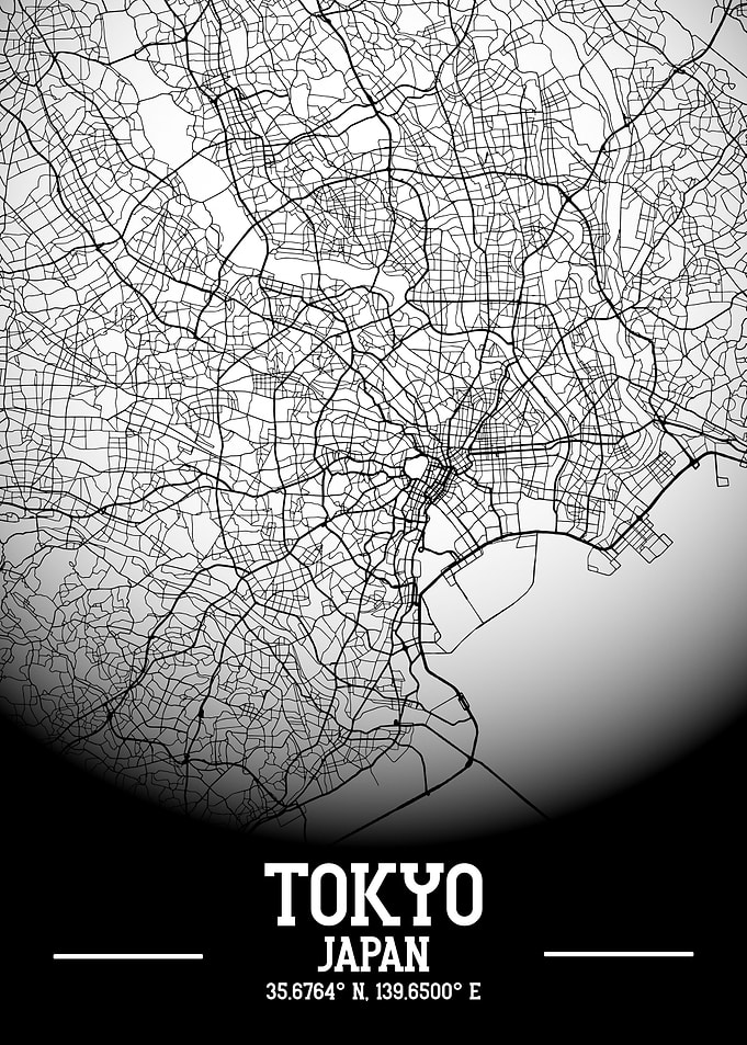 Tokyo City Map White