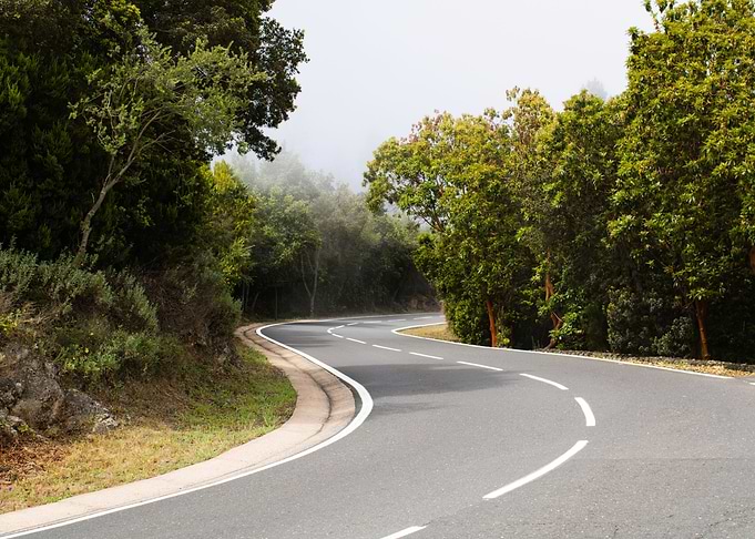 Scenic Forest Drive