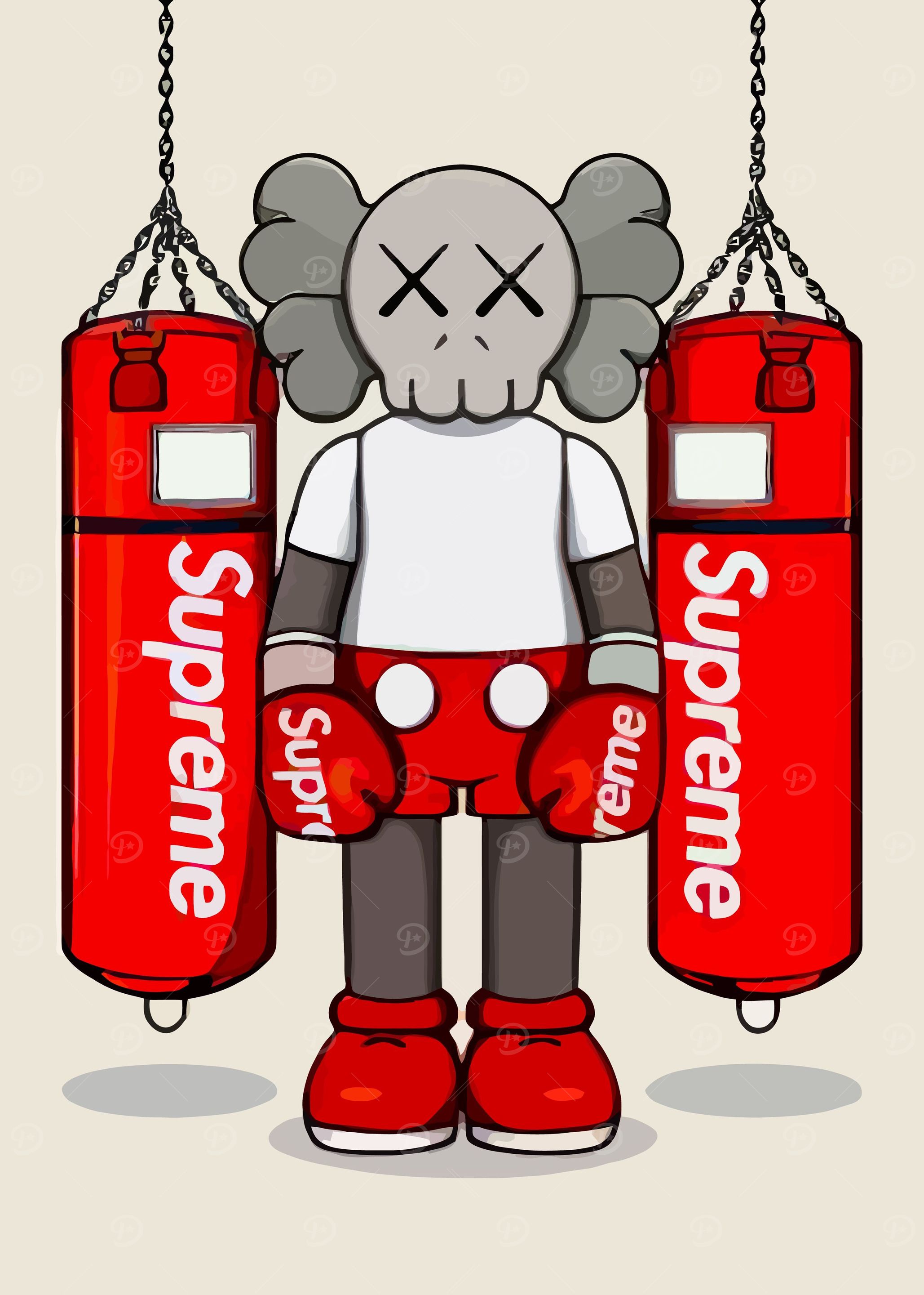 Kaws Boxing