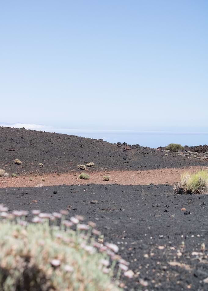Volcanic Desert Plain