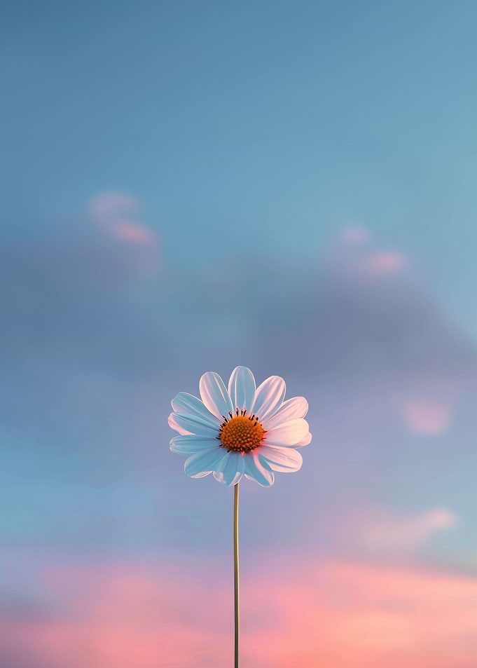 Minimalist Flower Daisy