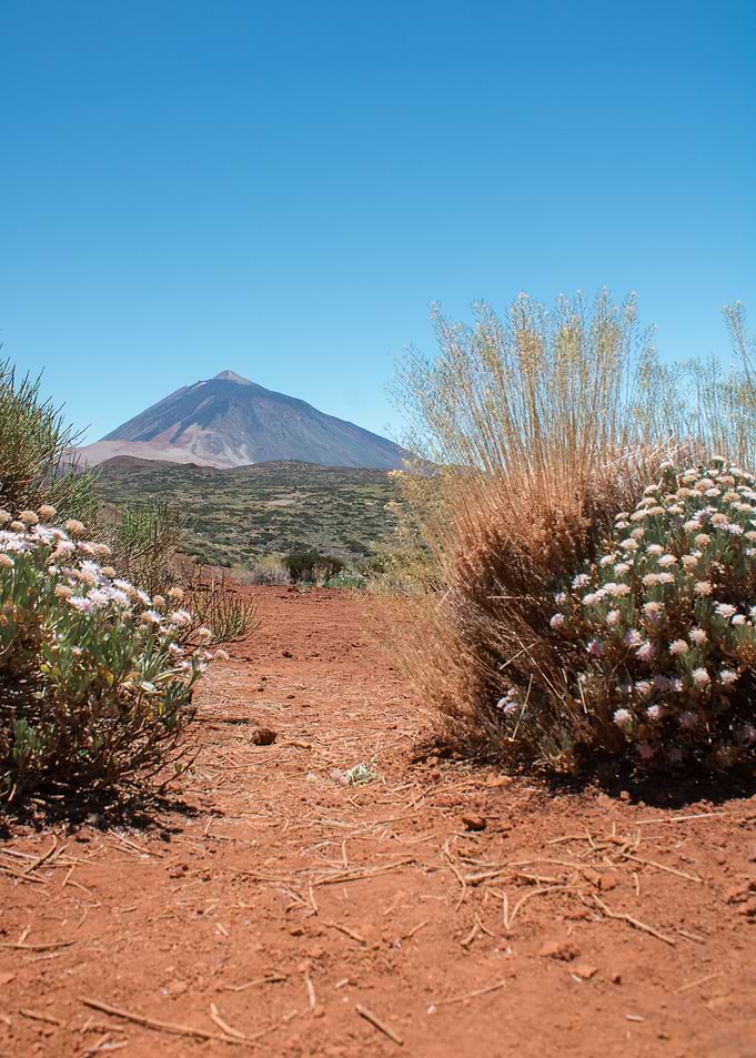 Path to the Volcano