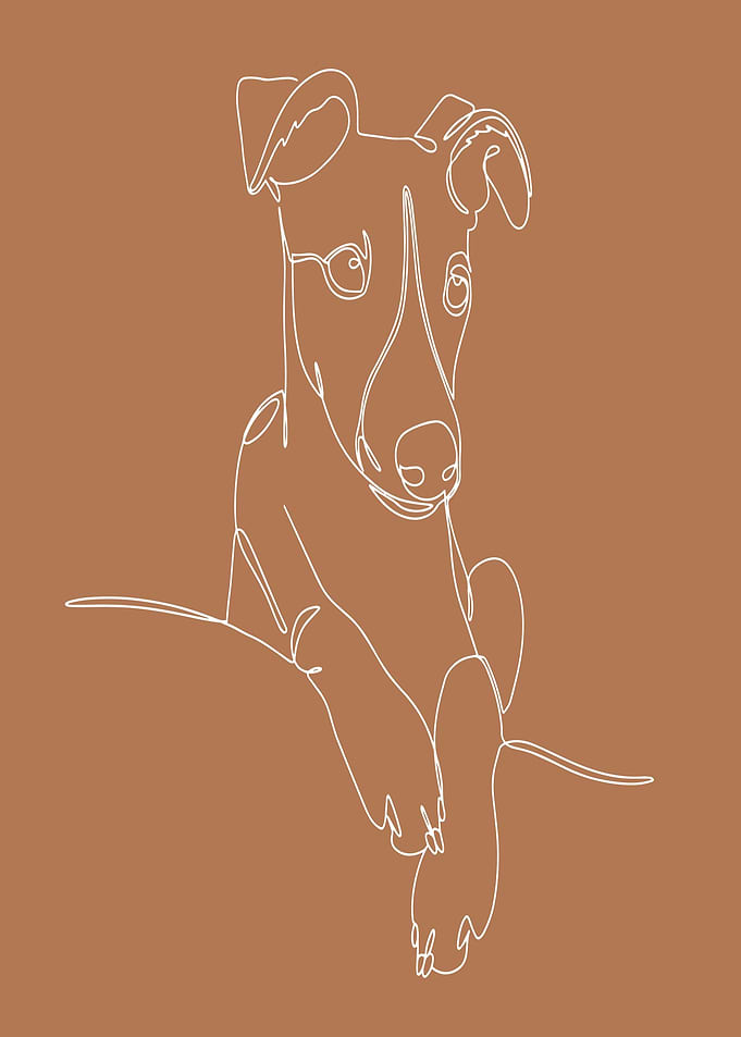 Greyhound Line Art