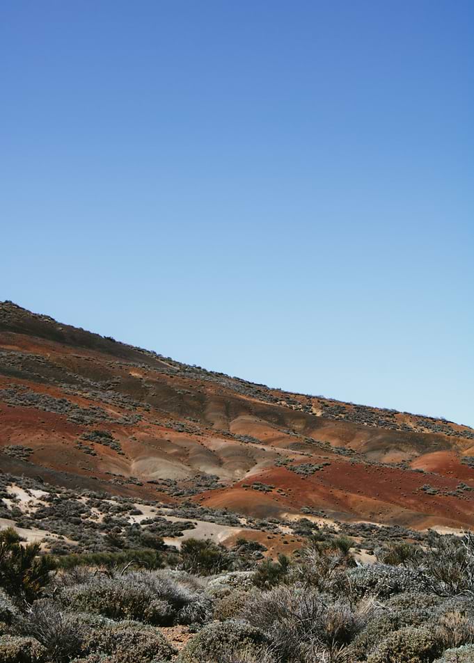 Earthy Toned Hills