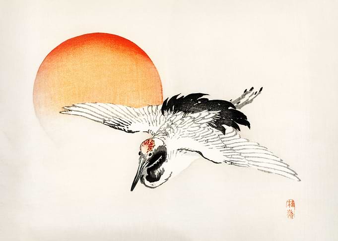 Flying crane