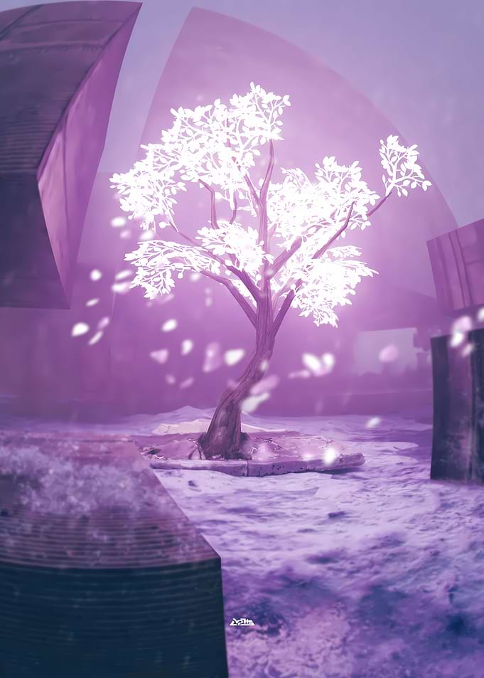 Blossom