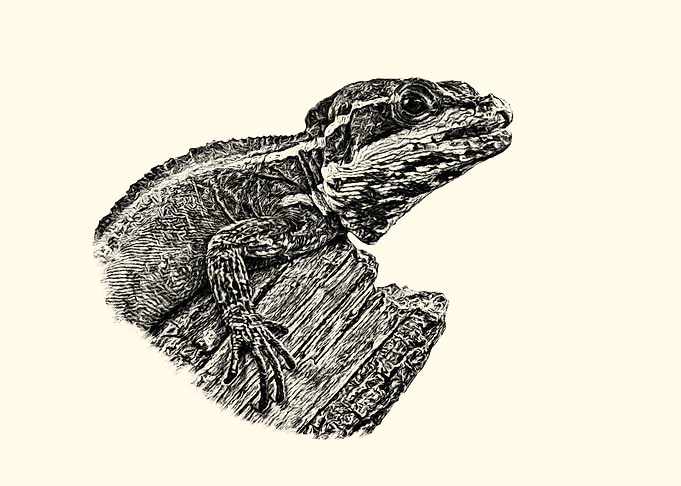 Basilisk