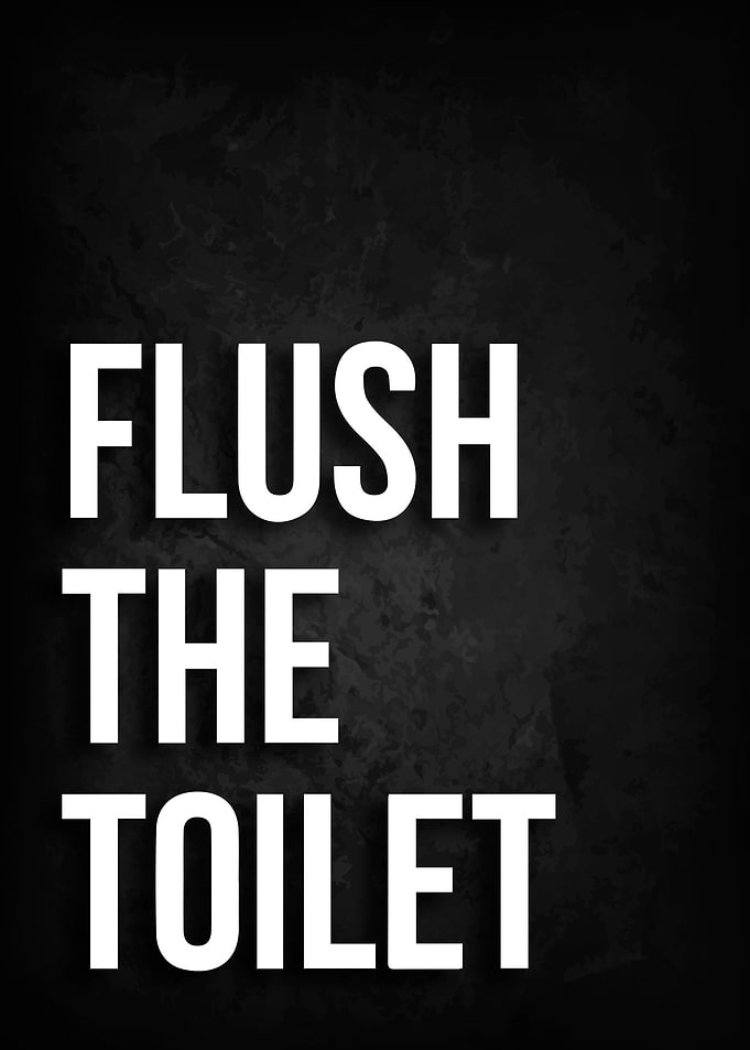 Flush the Toilet Poster