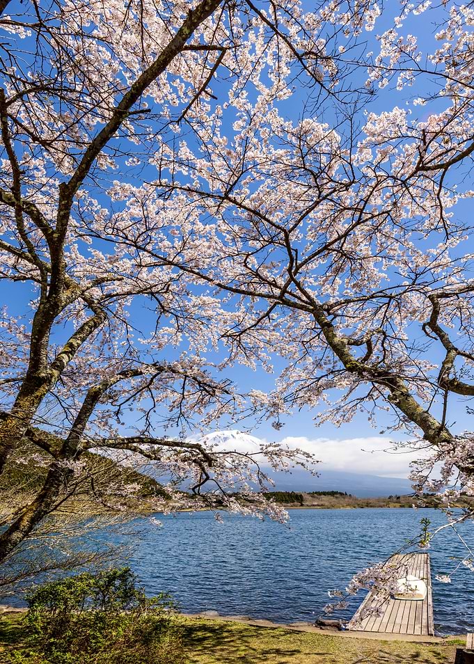 Lake Tanuki and Mount Fuji