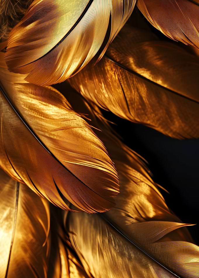 Golden Feathers