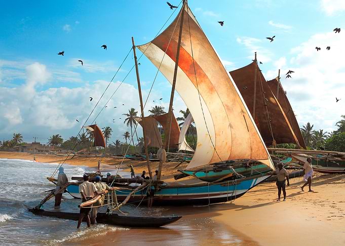 Sailing fishing boats