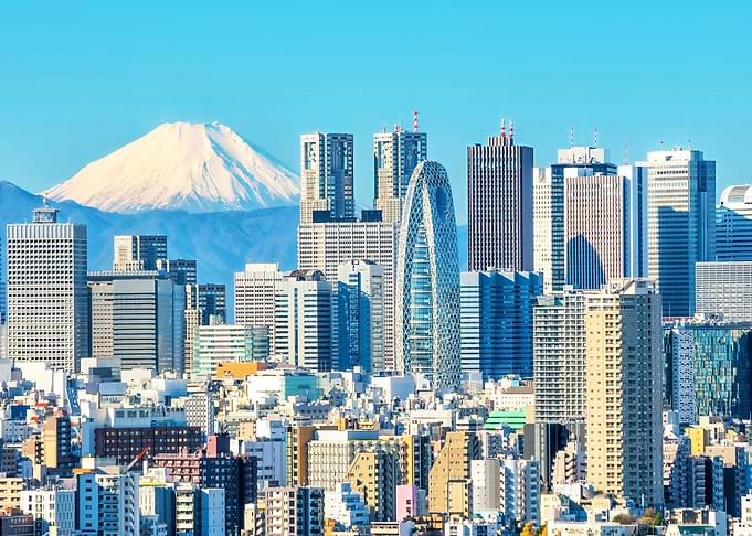 Tokyo Snowy Fuji mount