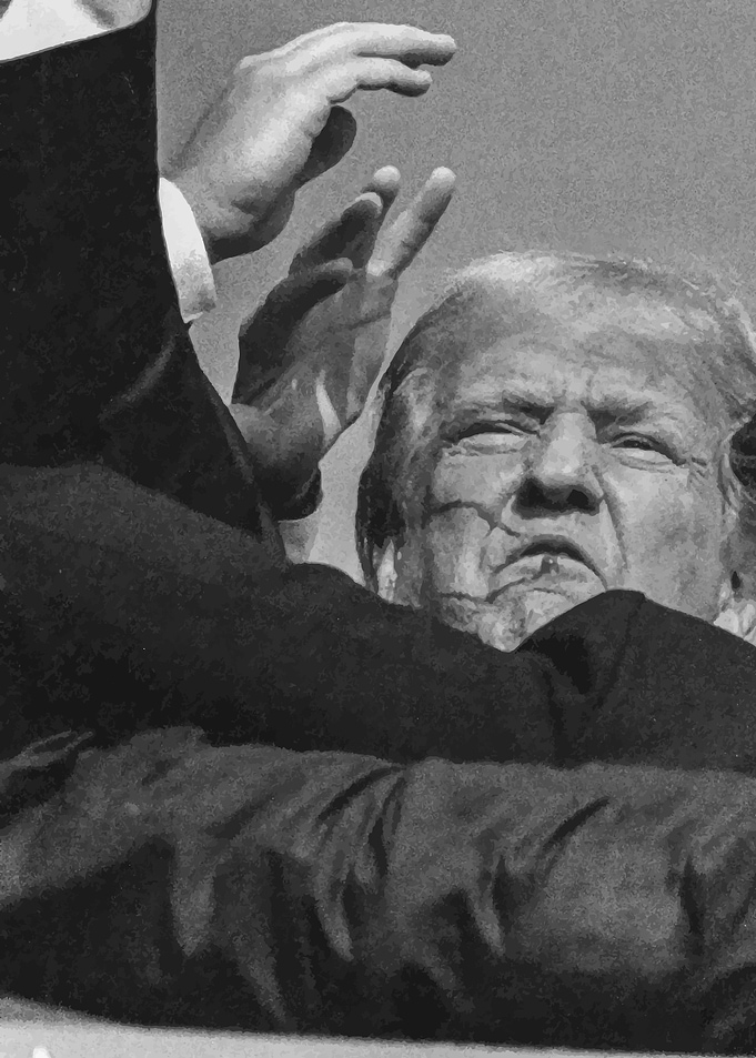 DONALD TRUMP PRESIDENT
