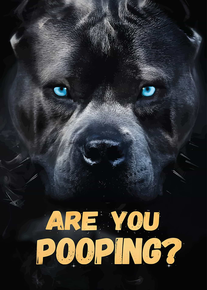 Pitbull Are You Pooping