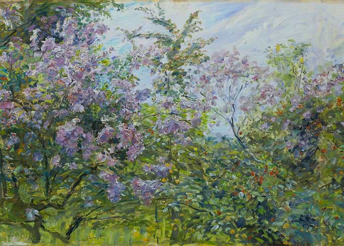 Blossoming Lilac